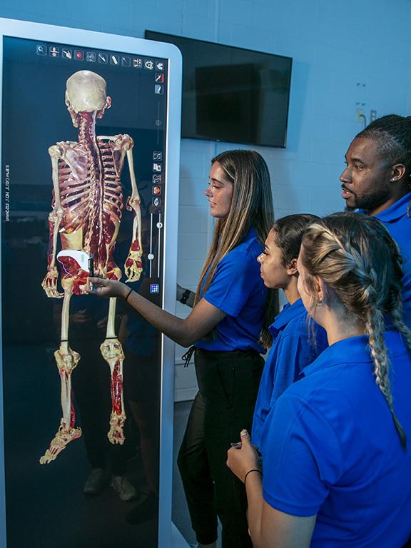 运动科学的学生在乌沙昆都的课堂上使用解剖虚拟尸体桌, 医学博士卫生学院.